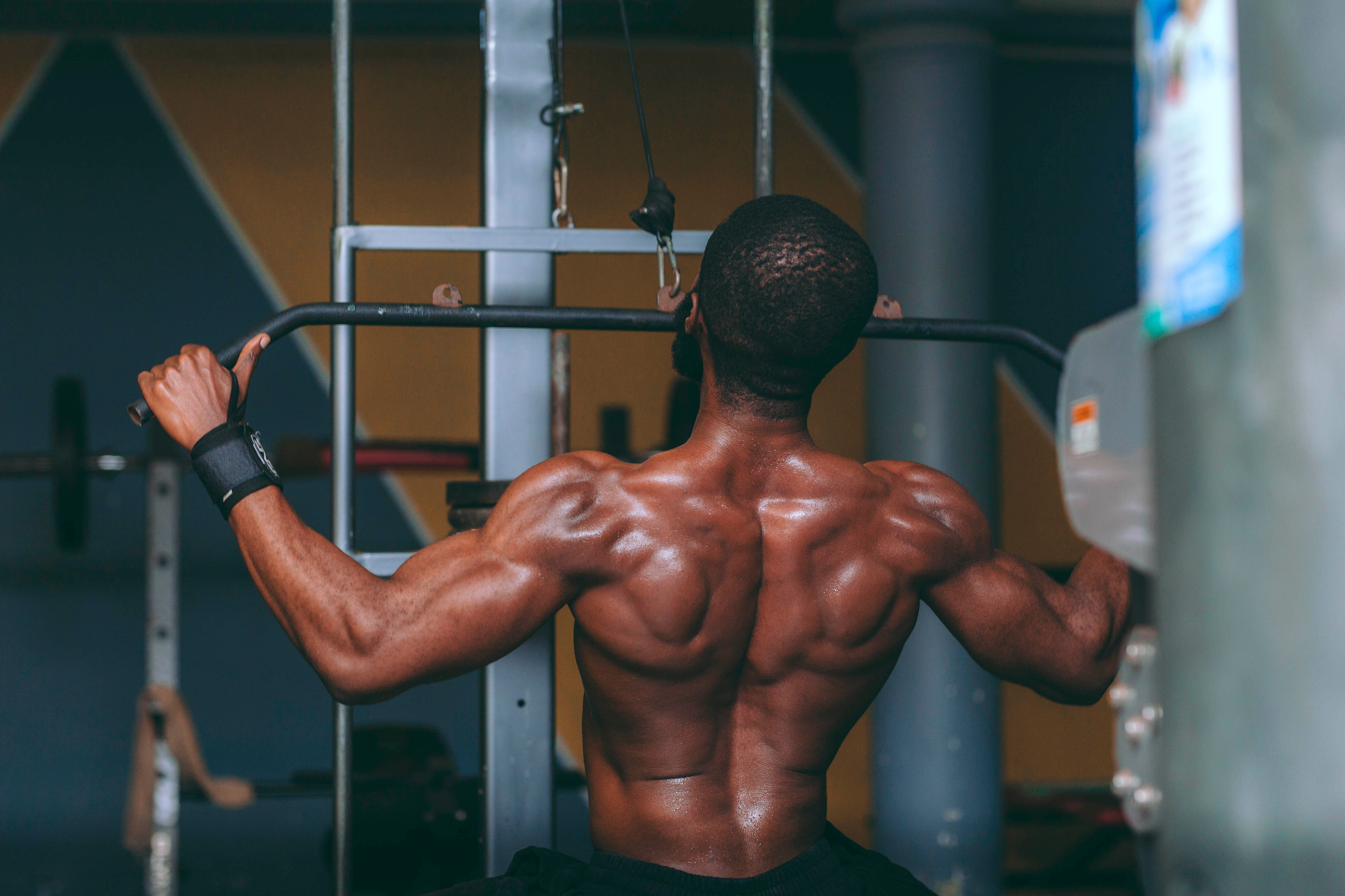 Muscle Building